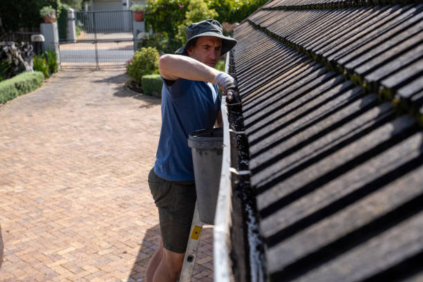 Professional Roof Cleaning for Gutters